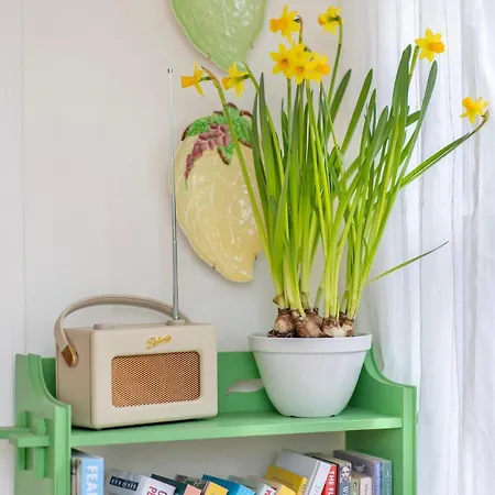 Pocket Luxury 18th Century Tiny In Picturesque Village With Pubs * Stillington